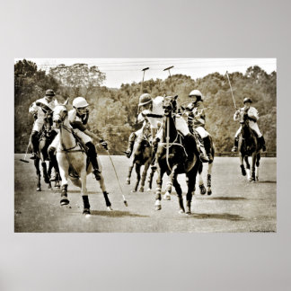 Póster Gallopaje de caballos de Polo