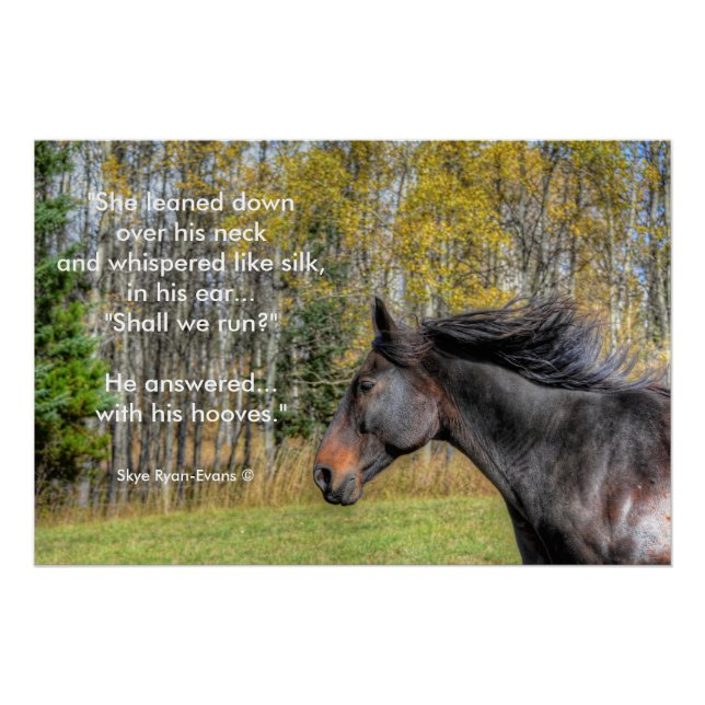Póster Galloping Black Horse and Horse Lovers Equine Poem (Anverso)