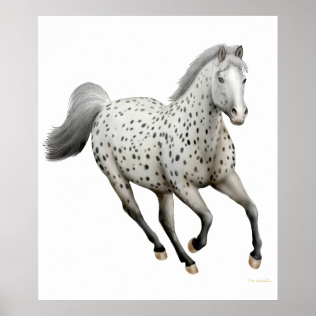 Póster Galloping Leopard Appaloosa (Frente)
