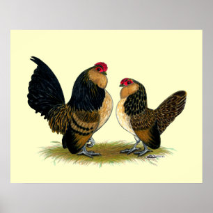 Póster Gallos belgas de los d'Anvers:  Codornices