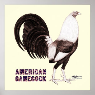 Póster Gamecock Sepia