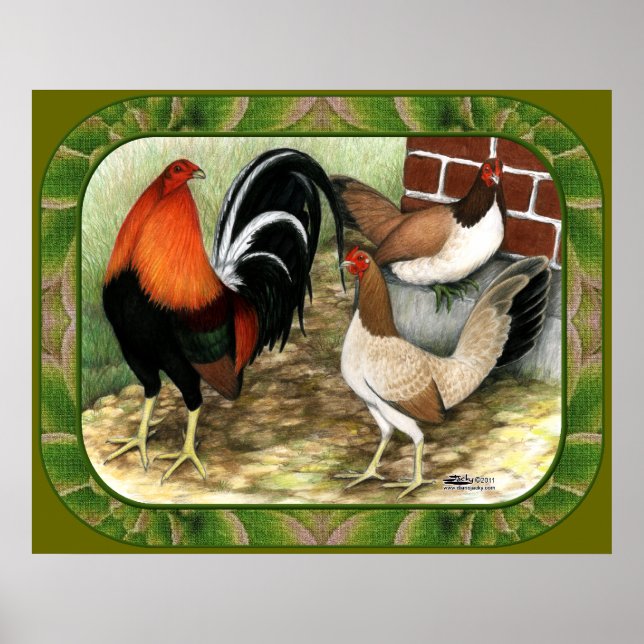 Póster Gamefowl en la granja (Frente)