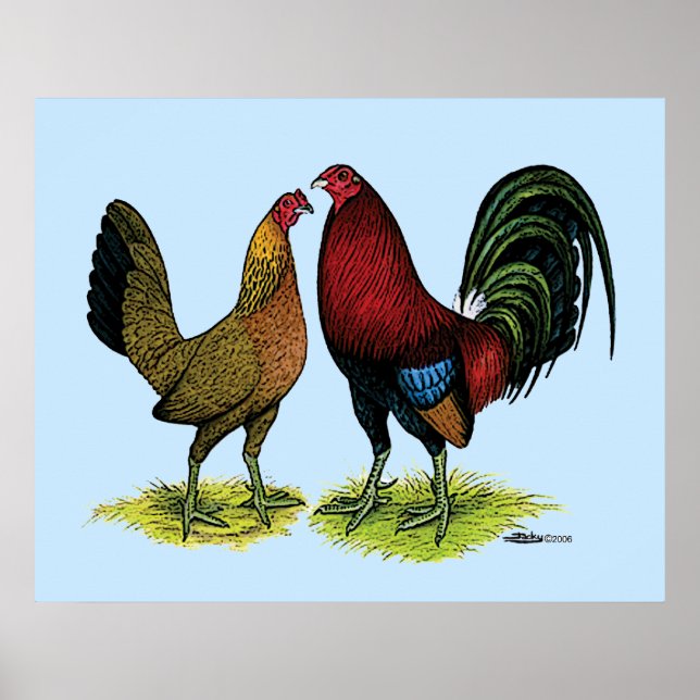 Póster Gamefowl Pair (Frente)