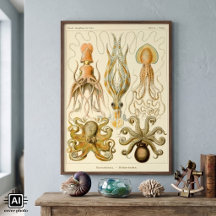 Gamochonia de pulpo de pulpo de vintage por Ernst 