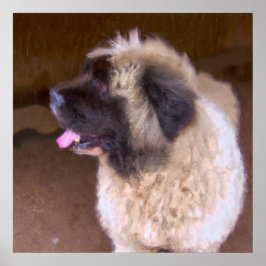 Póster Gampr armenio - Retrato de perro