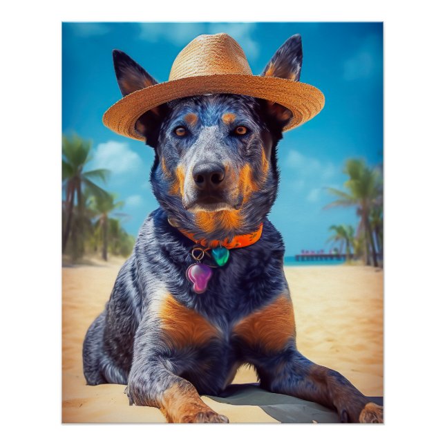 Póster Ganado australiano en la playa, regalo de verano p (Anverso)