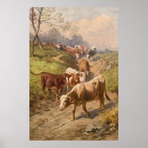 Póster Ganado bovino al sol con pastor
