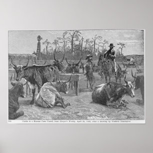 Póster Ganado bovino de Kansas Corn Corral