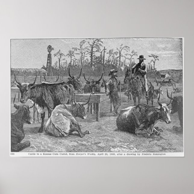 Póster Ganado bovino de Kansas Corn Corral (Frente)