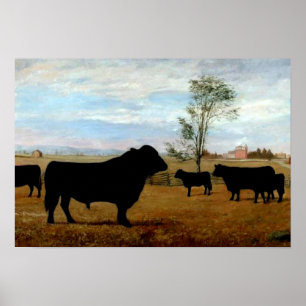 Póster Ganado de Angus en la granja