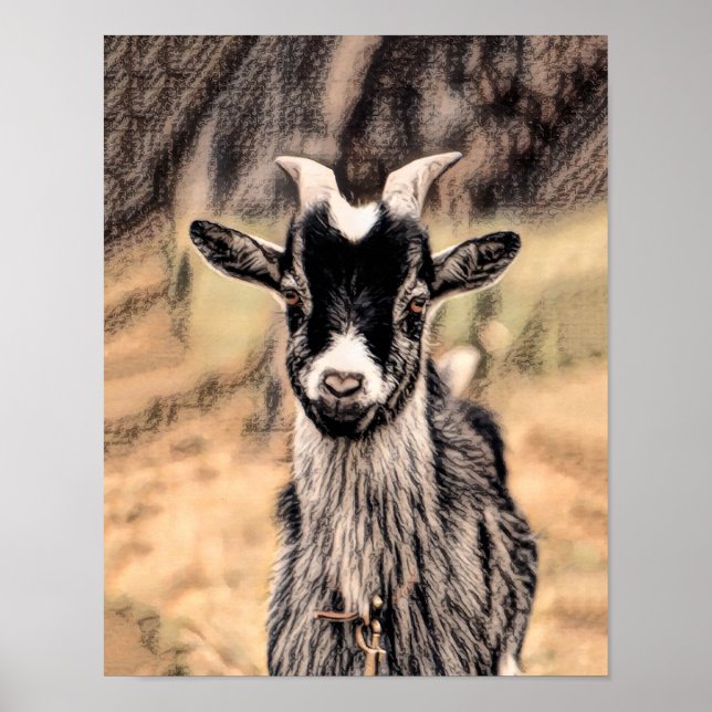Póster Ganado de la granja rural rústica de la cabra (Frente)