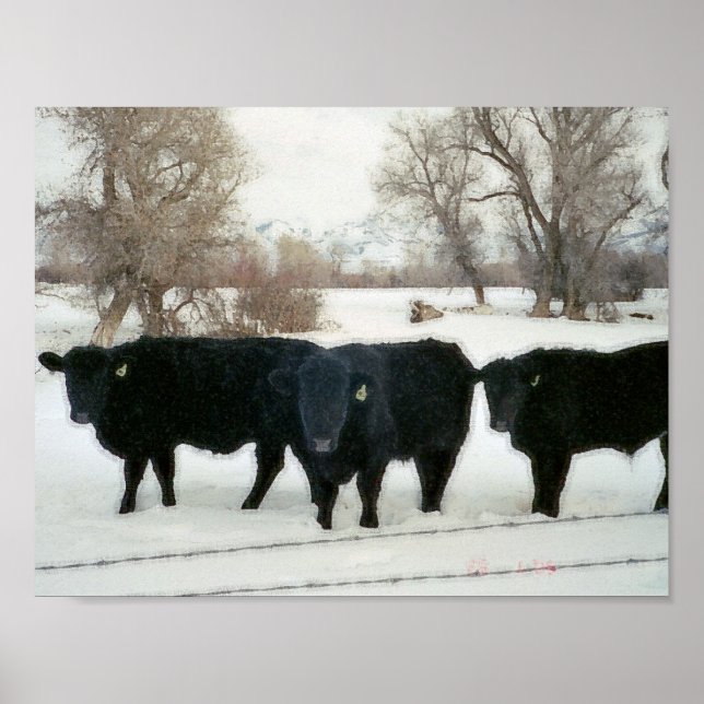 Póster Ganado negro en nieve (Frente)