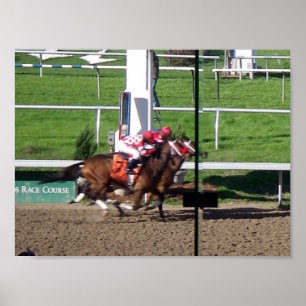 Póster Ganador por un poster de la nariz