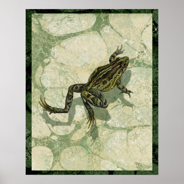 Póster Ganancia de toad en el agua (Frente)