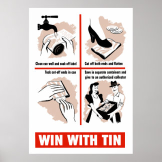 Póster Ganar con Tin