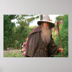 Póster GANDALF™ with Hat