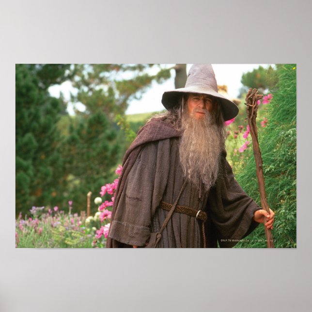 Póster GANDALF™ with Hat (Frente)