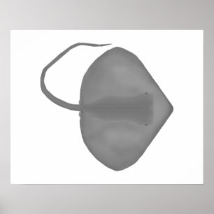 Póster Ganges Stingray