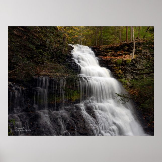 Póster Ganoga cae 24"x18" (Frente)