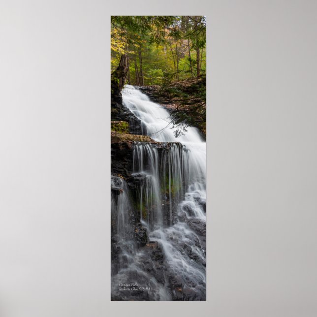 Póster Ganoga Falls 12"x36" (Frente)