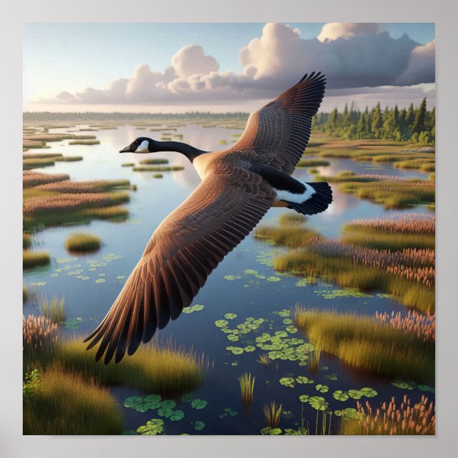 Póster Ganso de Canadá en humedales tranquilos (Frente)