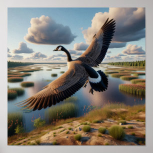 Póster Ganso de Canadá en humedales tranquilos