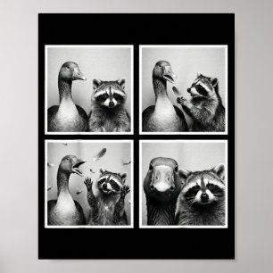 Póster Ganso divertido y amigos de fotomatón de mapache c