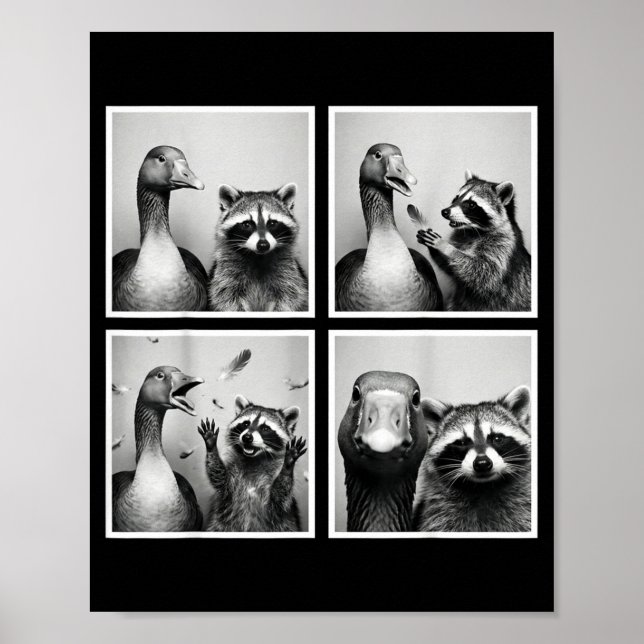 Póster Ganso divertido y amigos de fotomatón de mapache c (Frente)