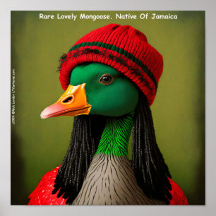 Póster Ganso Reggae de Mangosta Jamaicana Divertido