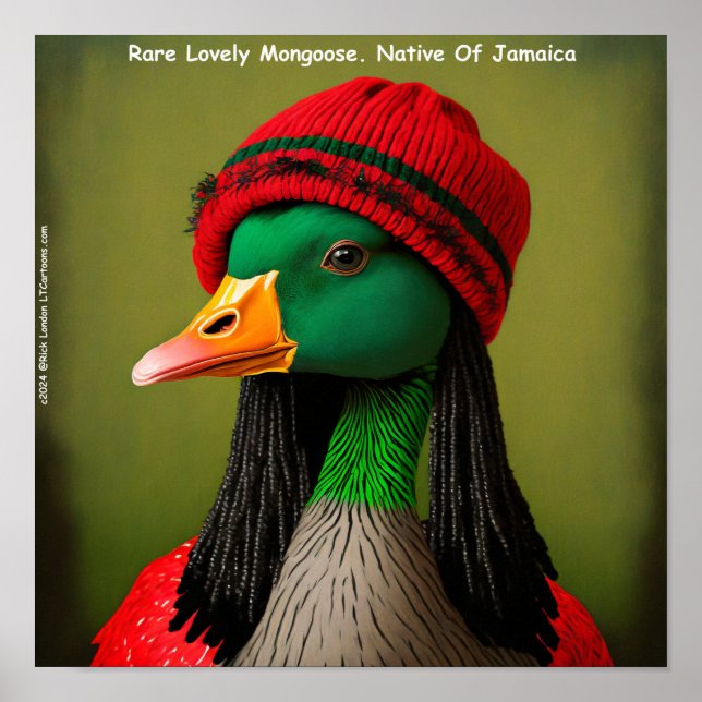 Póster Ganso Reggae de Mangosta Jamaicana Divertido (Frente)