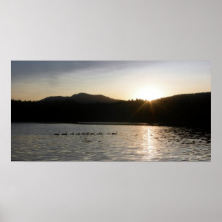 Póster Gansos canadienses y puesta de sol sobre el Resgua