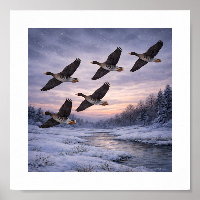 Póster Gansos Caretos en Invierno –  (Frente)