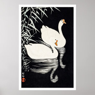 Póster Gansos chinos blancos nadando de Ohara Koson de 19