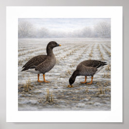 Póster Gansos de Bean en un Campo Invernal – Aves Silvest