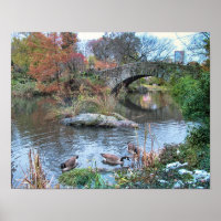 Gapstow Bridge Central Park New York