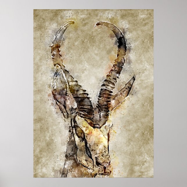 Póster Gaqzelle Vintage Print Wall Art (Frente)