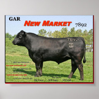 PÓSTER GAR NUEVO MERCADO