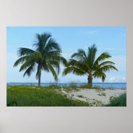 Póster Garceta grande, Treasure Cay, Gran Abaco