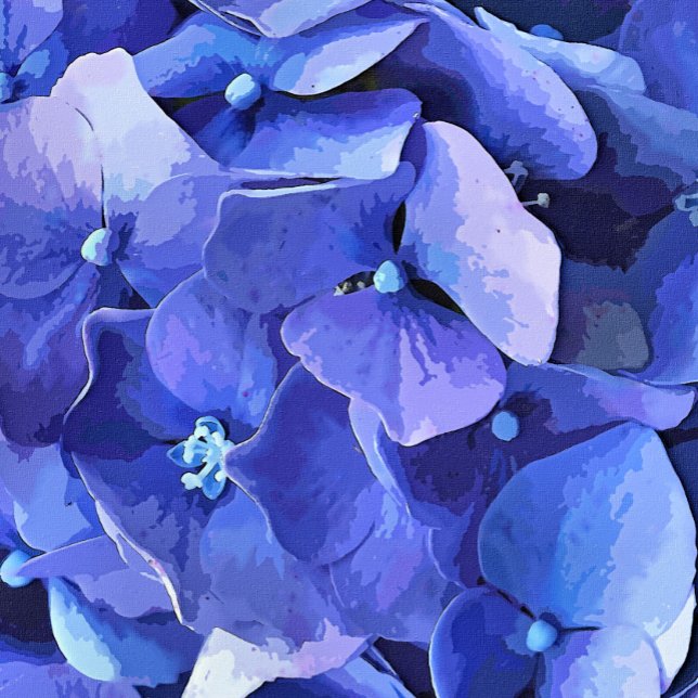 PÓSTER GARDEN FLOWERS (A watercolor of a beautiful vibrant blue hydrangea.)