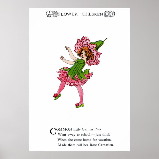 Póster Garden Pink - Rose Carnation (Frente)