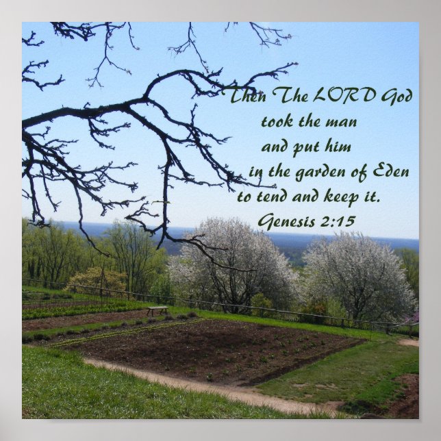 Póster Garden Poster (Frente)