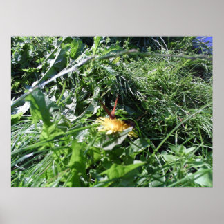 Póster Garden Weeds Choking Garden Poster Print