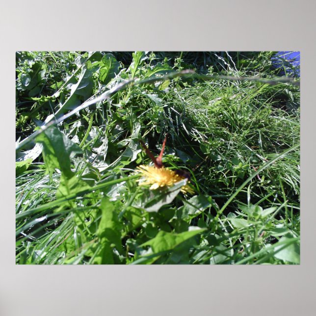 Póster Garden Weeds Choking Garden Poster Print (Frente)