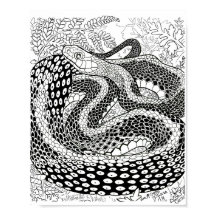 Gardener Snake Study Beyond the Skin Coloring Page