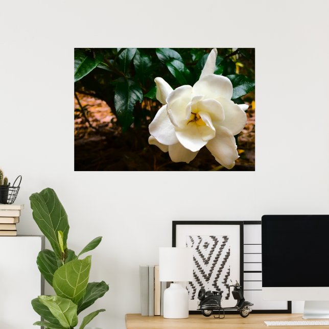 Póster Gardenia, (Oficina en casa)