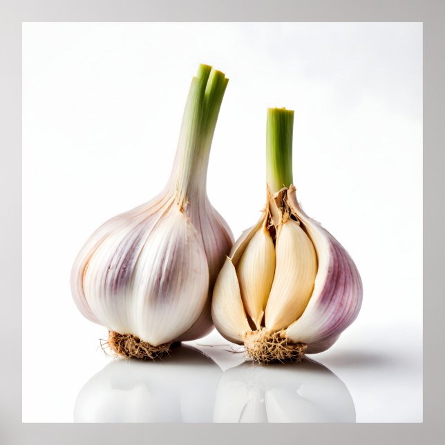 Póster Garlic (Frente)
