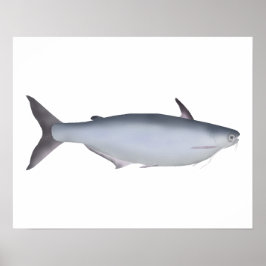 Póster Garua Bachcha