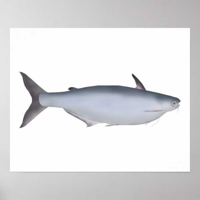 Póster Garua Bachcha (Frente)