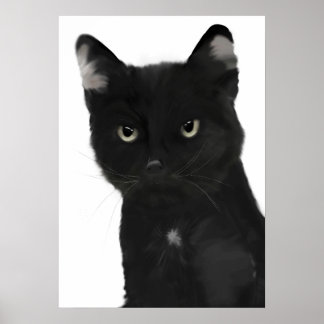 Póster Gary el gato negro
