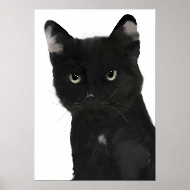 Póster Gary el gato negro (Frente)